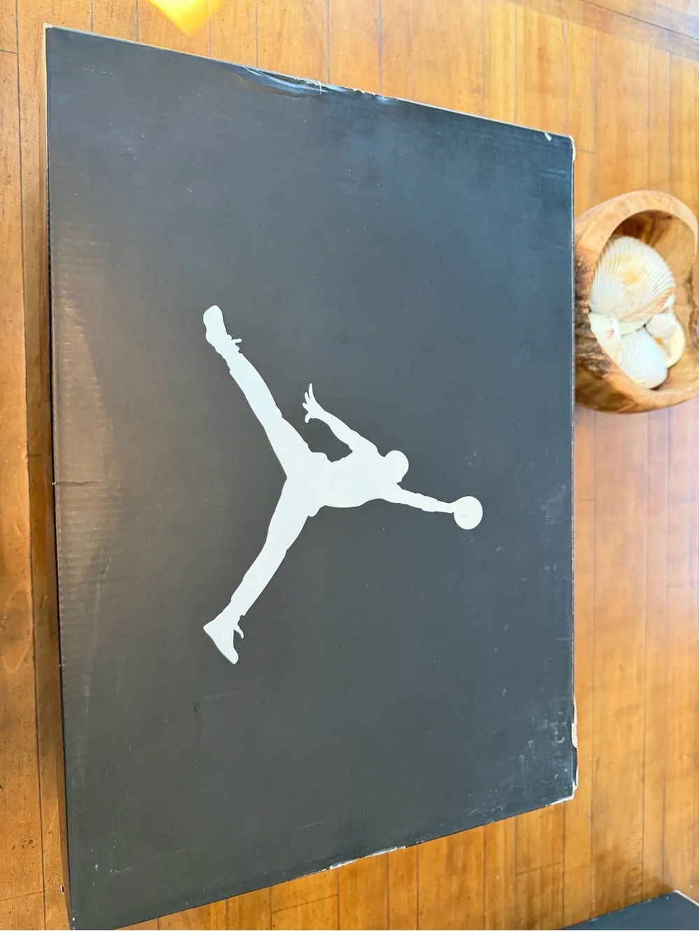 Air Jordan Retro 10 Cool Grey size 12